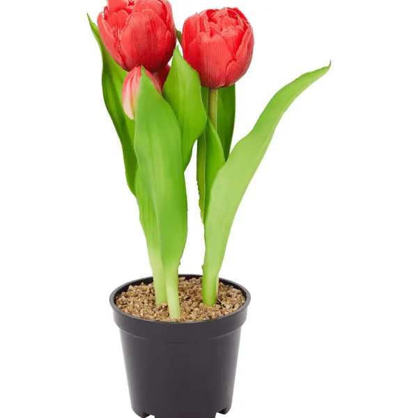 Merk Home Accents Kunsttulpen In Pot Geel,Meerkleurig,Rood,Roze,Wit Discount