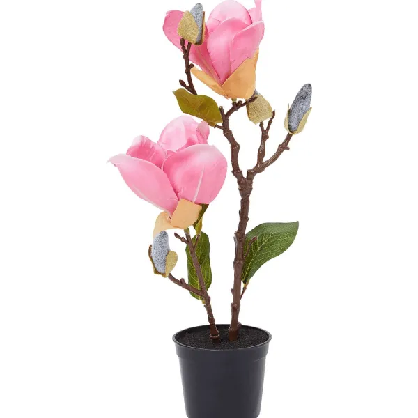 Merk Kunstmagnolia In Pot Roze,Wit Online